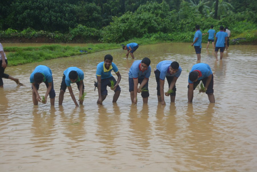 From Classroom to Field: loreto school Students Experience Farming First-Hand